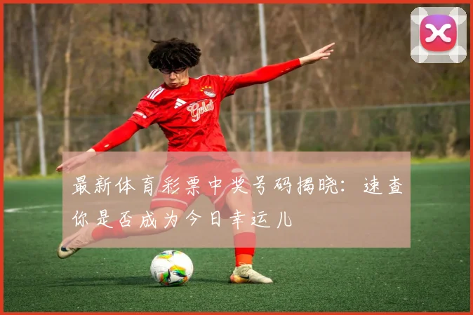 最新体育彩票中奖号码揭晓：速查你是否成为今日幸运儿